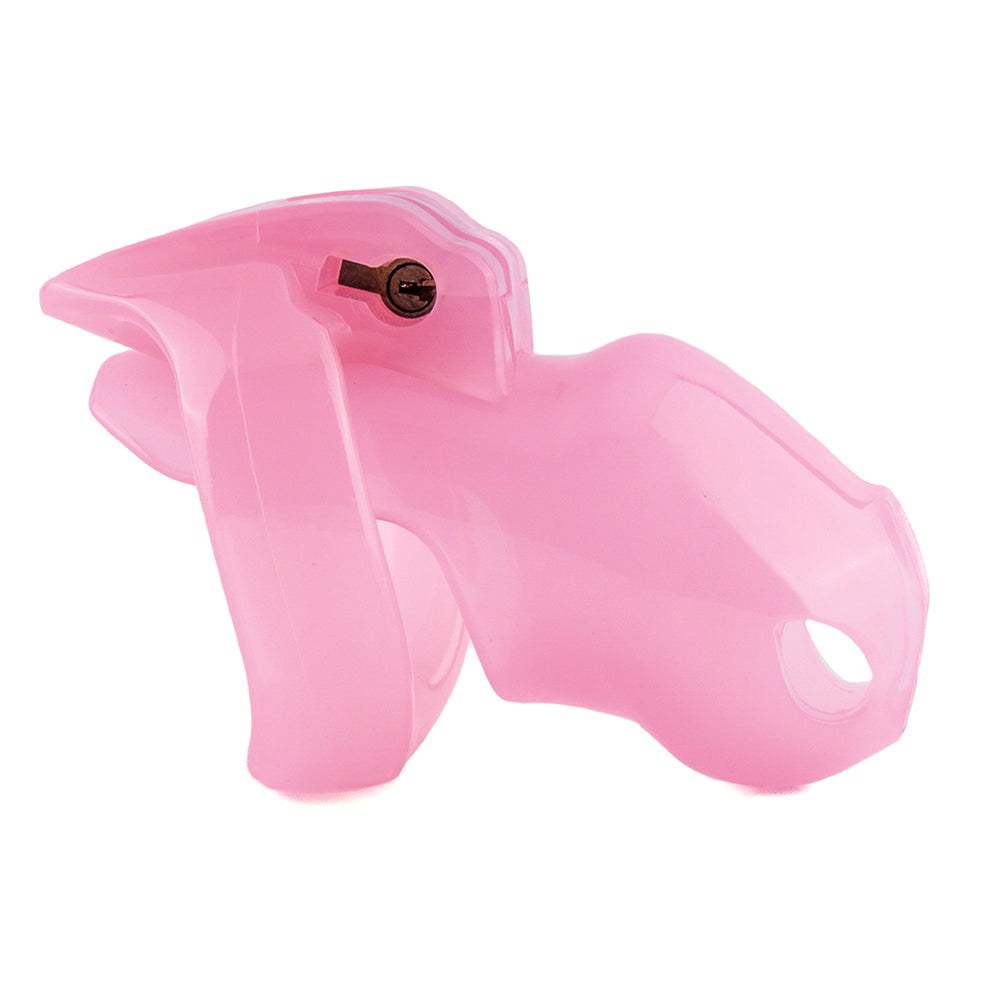 Unlock your true sub within this perfect pink, sissy-themed Holy Trainer V4. Humiliation meets comfort with its versatile ring sizes, secure hinge lock, and discreet aesthetic, elevating dom/sub dynamics.