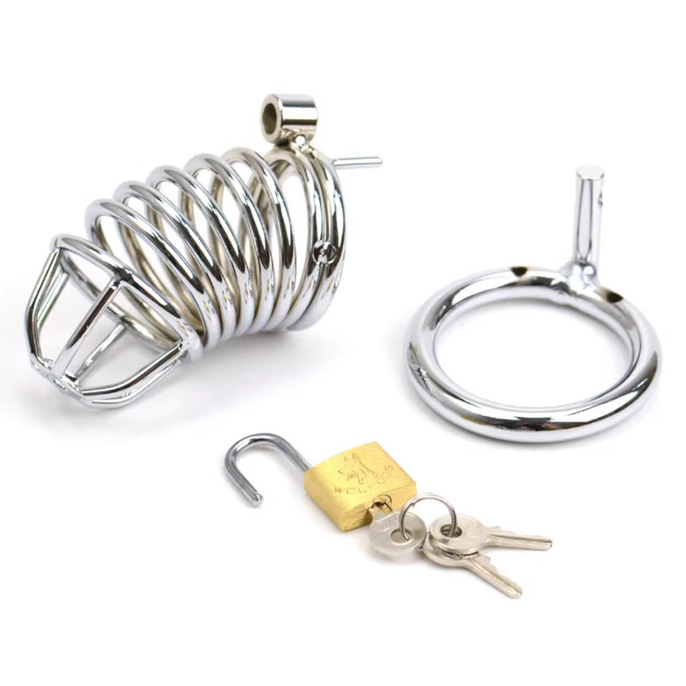 Upgrade your chastity play with unbreakable stainless steel. Quality models feature a secure padlock, offering a tailored fit with 3 rings. Durable design ensures comfort and enhances dynamics.