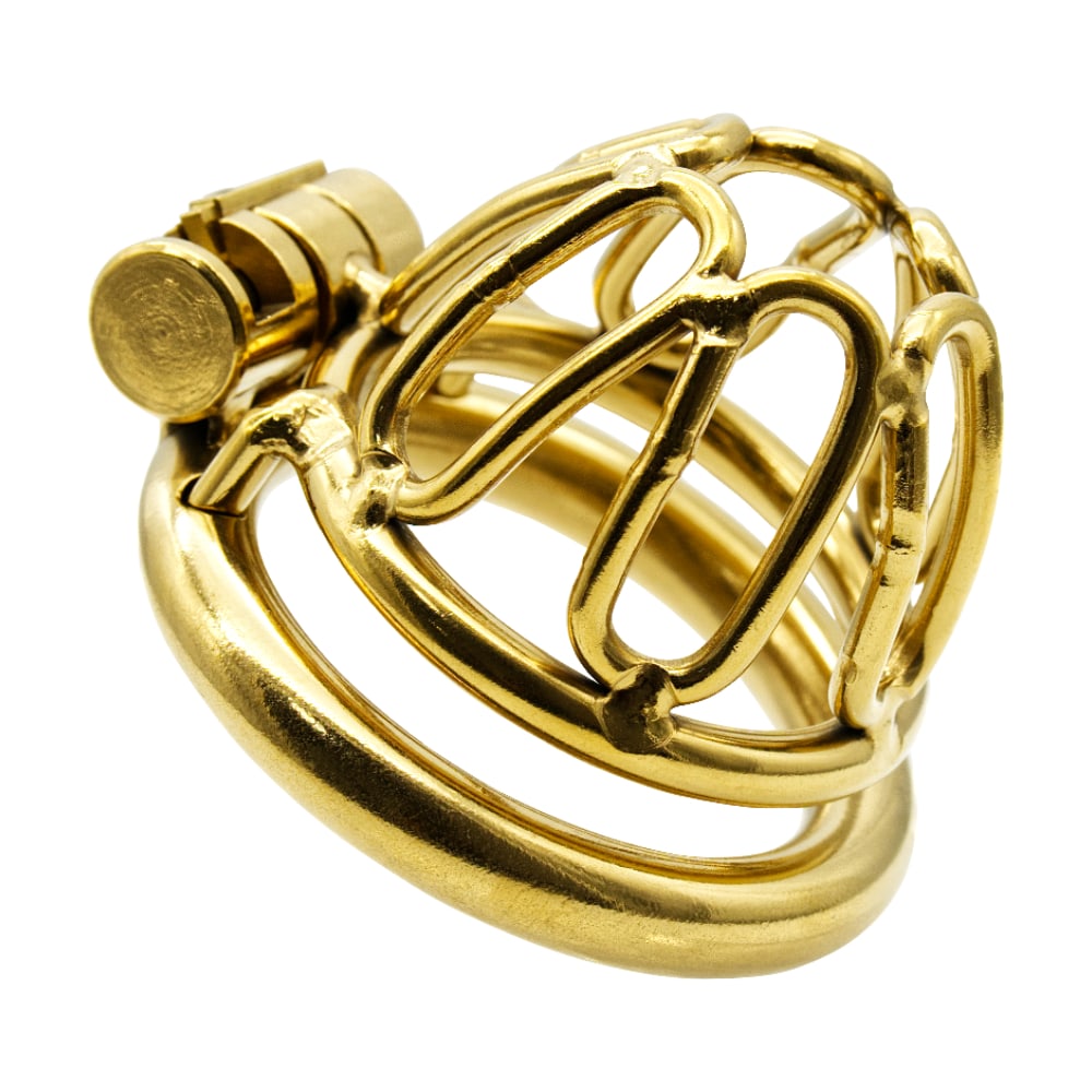 Luxurious 304 stainless steel cage ensures you're both held and exposed. The snug fit of six oval rings invites safe, tantalizing surrender, preventing injuries while covering desires.