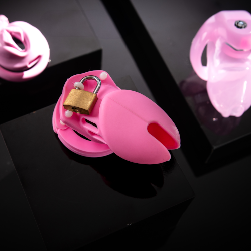 Are You A Sissy Slave?