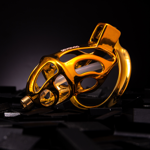 Want Penis Free Pleasure? Try Prostate Stimulation