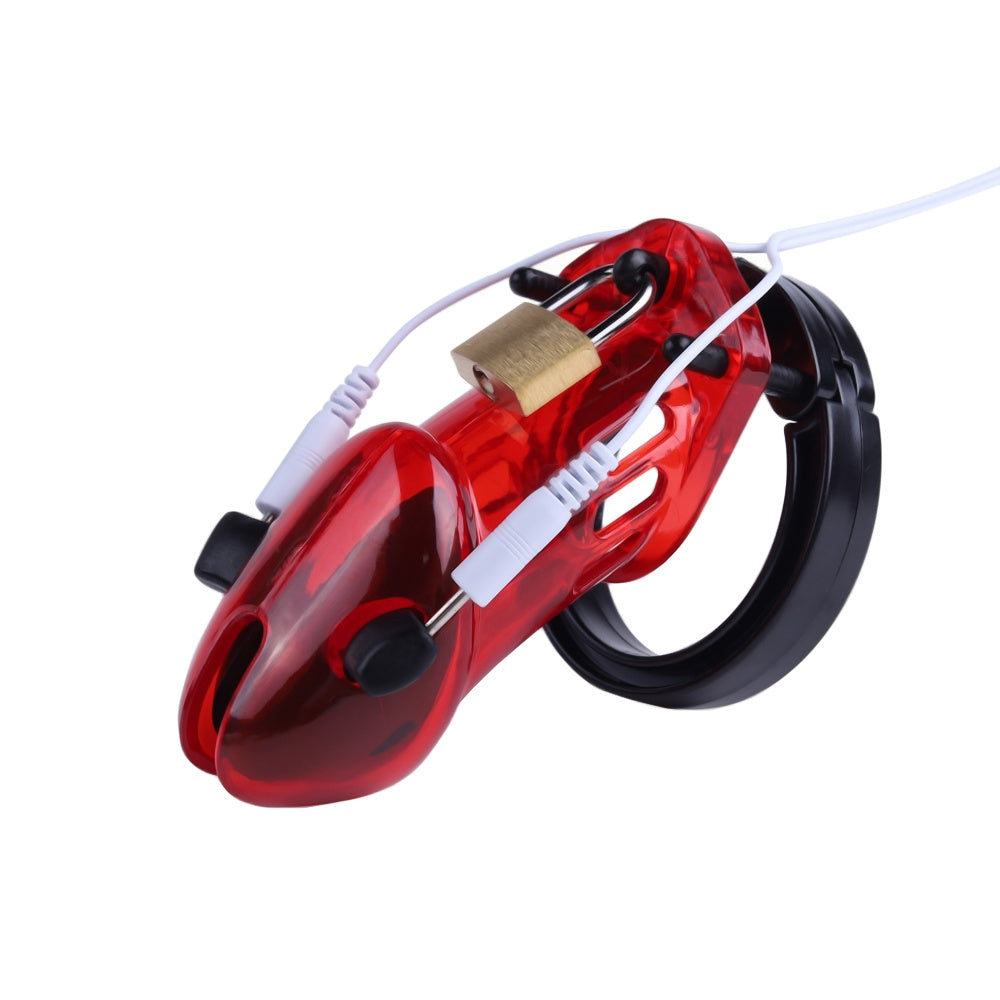 Complete Electrostimulation Kit