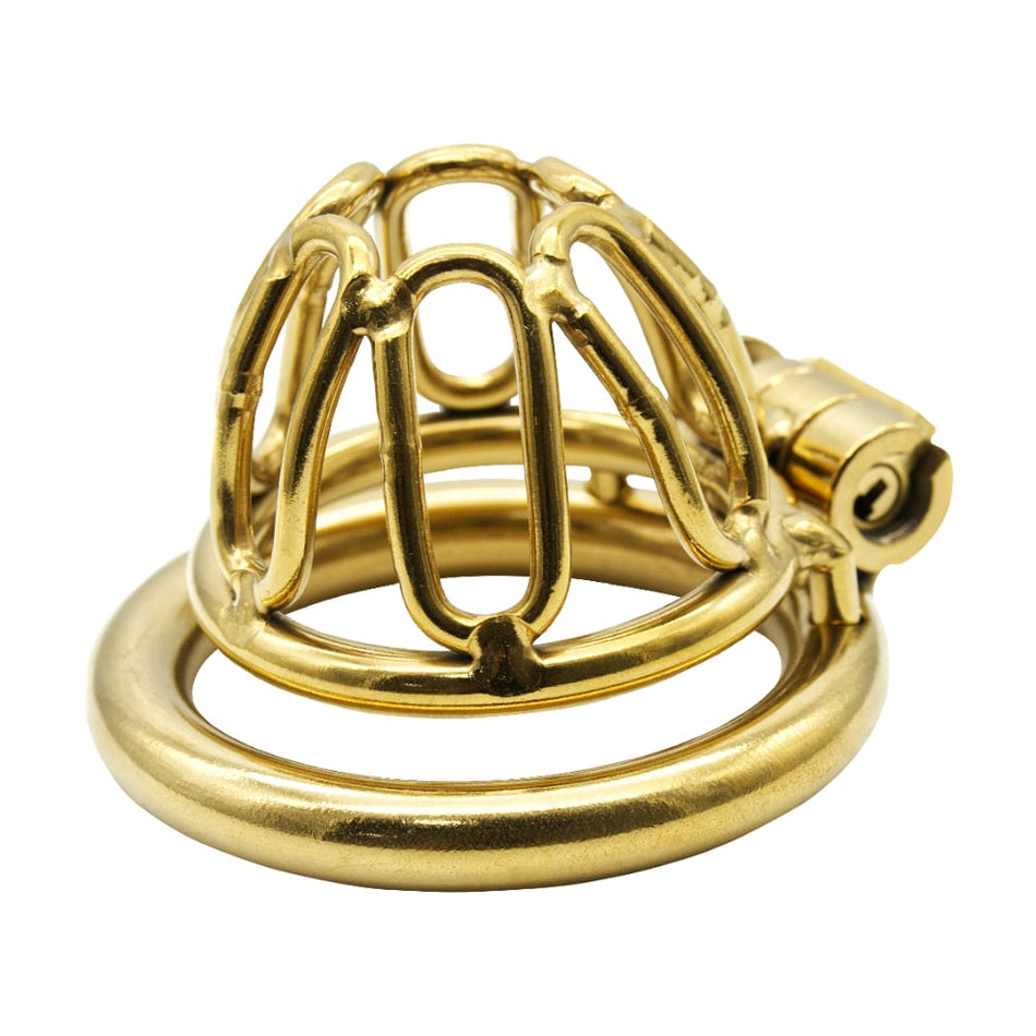 Glossy Gold Link Chastity Cage | Total Chastity